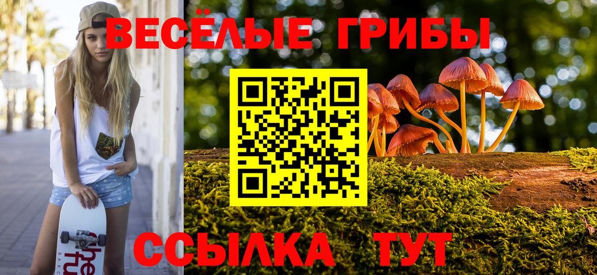 Псилоцибиновые грибы Psilocybine cubensis  Вход с VPN  Коряжма  Галлюциногенные грибы Psilocybine cubensis 