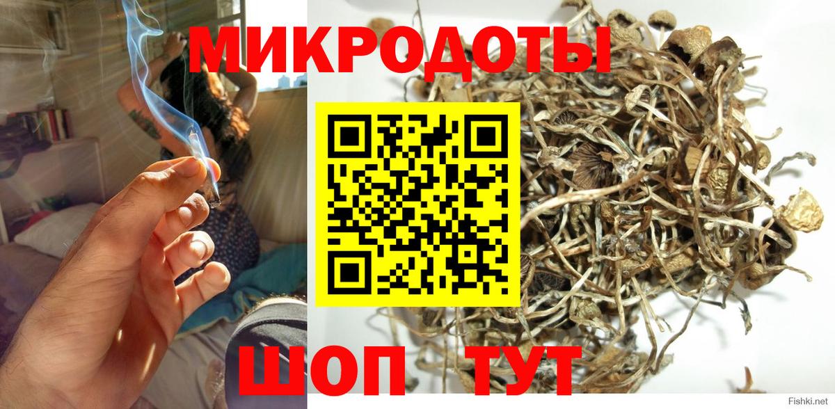 Псилоцибиновые грибы Psilocybine cubensis Коряжма
