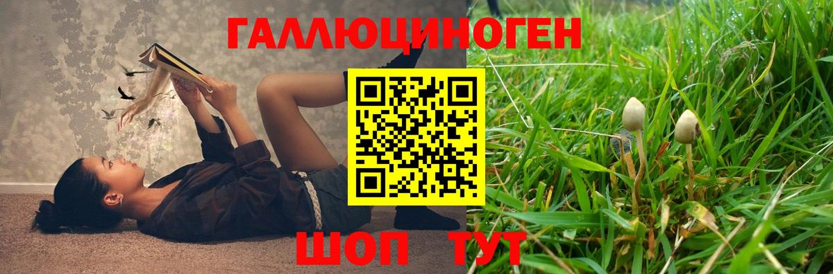 Codein Коряжма